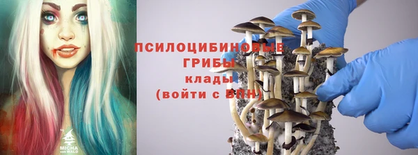 прущие грибы Алзамай