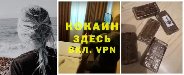 дживик Алексин