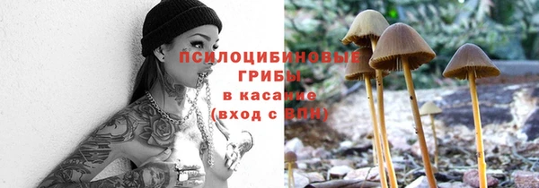 дживик Алексин