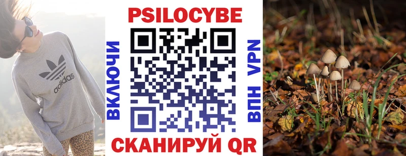 купить  цена  Петровск-Забайкальский  Галлюциногенные грибы Magic Shrooms 